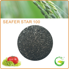 Bio Organic Seaweed Extract Fertilizer